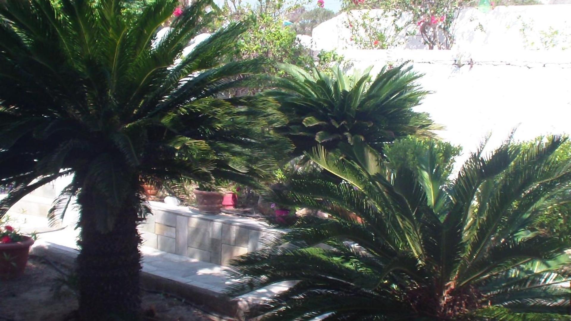 קפלוס Creta Vassakis Studios 2 מראה חיצוני תמונה
